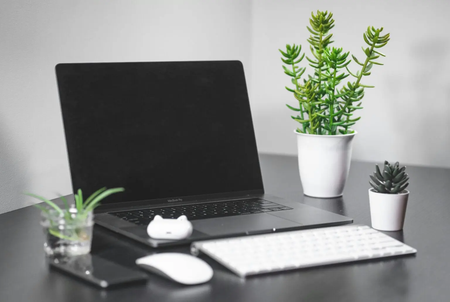 Laptop and plant on a desk